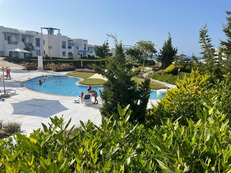 233510123_336719978158364_5577925011072848167_n