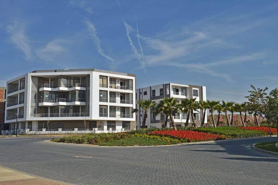 WhatsApp Image 2022-06-28 at 3.26.40 PM (1)