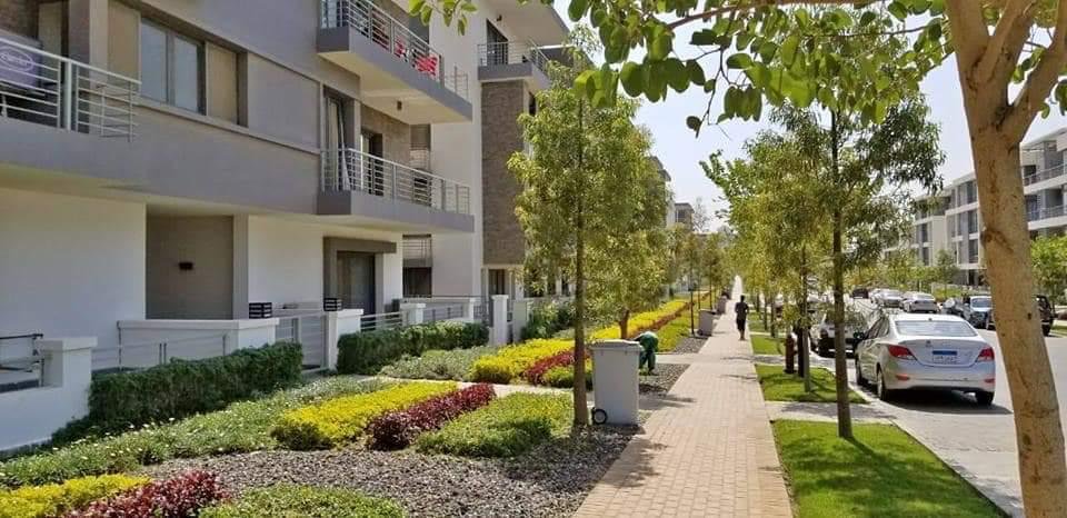 WhatsApp Image 2022-06-28 at 3.26.40 PM (4)